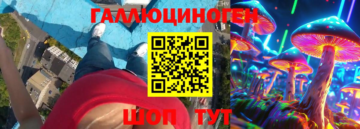 Железноводск  где продают   Вход с VPN  Галлюциногенные грибы мицелий  Псилоцибиновые грибы Psilocybine cubensis 
